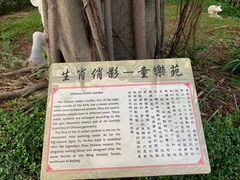 -九龙寨城公园