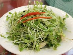 鲜桃仁豌豆苗-玉华台饭庄(裕中西里小区店)
