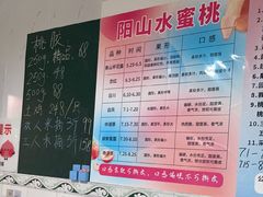 -老袁家蜜桃农场·阳山水蜜桃
