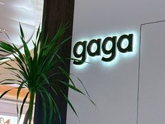 -gaga(深圳南山益田假日广场店)