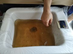 -新富特功夫足疗(华都园大厦店)
