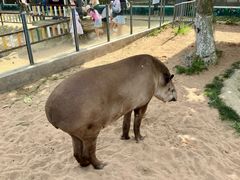 -西霞口神雕山野生动物世界