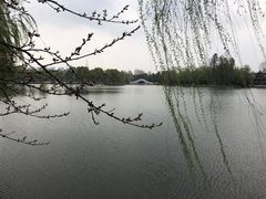 -菱湖风景区