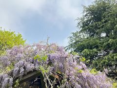 -白塘生态植物园