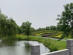 -梁鸿国家湿地公园