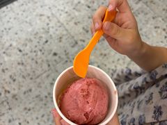 -iceason爱茜茜里·意大利健康冰淇淋(骑龙巷店)