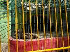 -荆州中山公园动物园