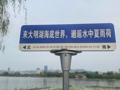 -春水锅贴·传统鲁菜(大明湖店)
