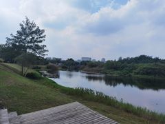 -眉山湿地公园(东坡区)