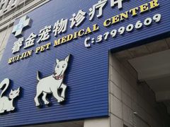 -睿金宠物医院·CT·肿瘤·骨外科
