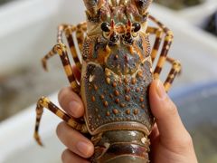 -花乐餐厅(涠洲岛店)