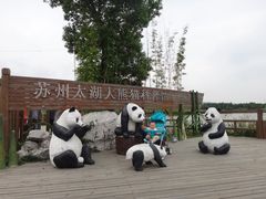 景点-苏州太湖国家湿地公园
