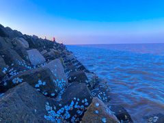 -南汇嘴观海公园