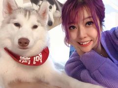 -Husky Go! 哈士奇体验馆·宠物咖啡厅狗咖