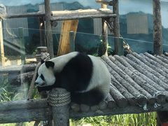 -大连森林动物园