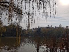 -西安市长乐公园