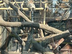 -石排湾郊野公园
