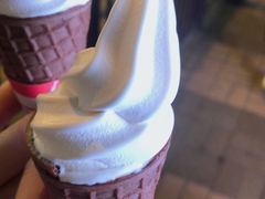 -富豪雪糕车流动点(尖沙咀店)