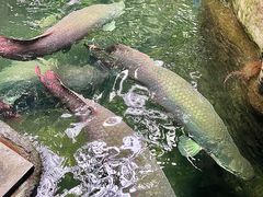 -青青世界
