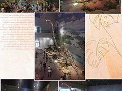 -自贡恐龙博物馆