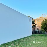 【太阳宫安馨花园】不用去郊区也有大草地