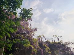 -郑和公园