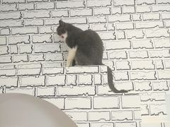 -白夜2D咖啡馆