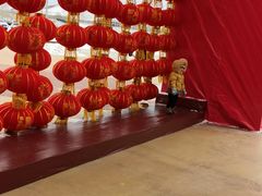 -中国马镇舞马世界主题乐园