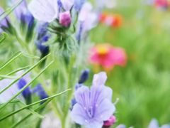 -贵阳市花溪国家城市湿地公园