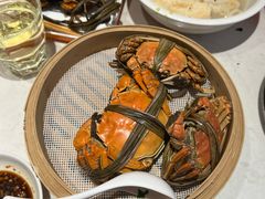 -杨氏青龙虾·羊蝎子(托乐嘉店)