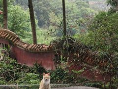 -云洞岩风景区
