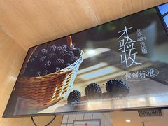 -茶百道(惠新东街店)