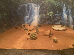 -多彩贵州城极地海洋世界