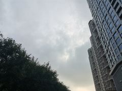 -子午路张记肉夹馍(小寨西路店)
