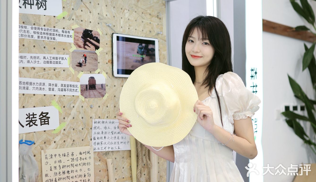 杭州周末好去处｜打卡蚂蚁🐜森林现场版