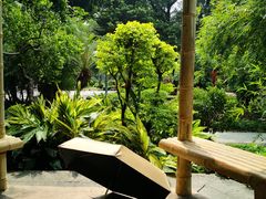 -晓港公园