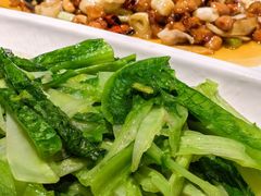 -陈麻婆豆腐(旗舰店)