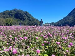 -广州市石门国家森林公园