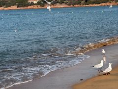 -青岛第一海水浴场