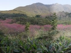 -福清灵石山国家森林公园