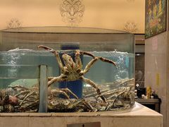 -海景壹号大酒店(滨湖店)