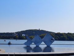 -上海月湖雕塑公园