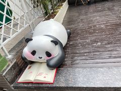-轩客会(熊猫书店)