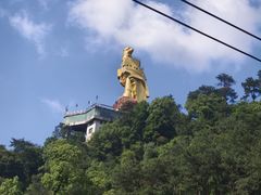 -大金鹰园