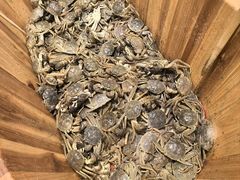 -初色海鲜自助(万丰路店)