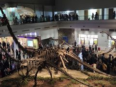 -自贡恐龙博物馆