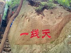 -六里坪国家森林公园
