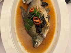 榄角蒸边鱼-顺德喜来登酒店·采悦轩