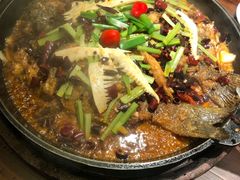 -老板恋上鱼(荣盛广场店)