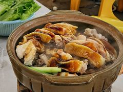 -天桥底鸡煲